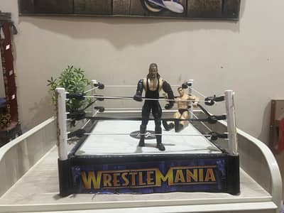 Wwe toys for sale