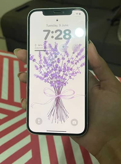 Apple iPhone 12