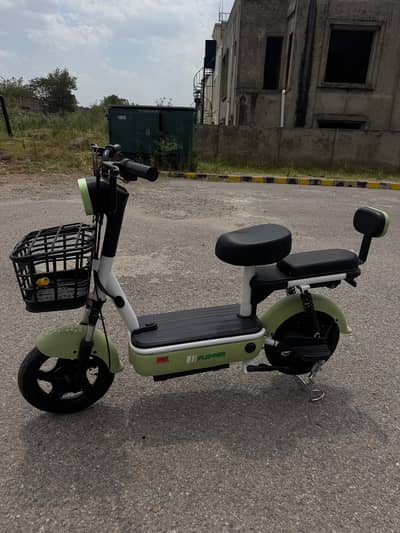 Excellent Condition Evee Flipper