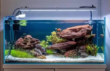 all type aquarium service