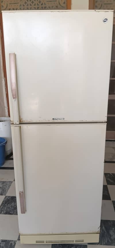 Full size Refrigerator with  jumbo size freezer