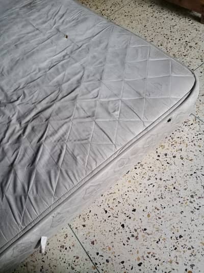 dura foam