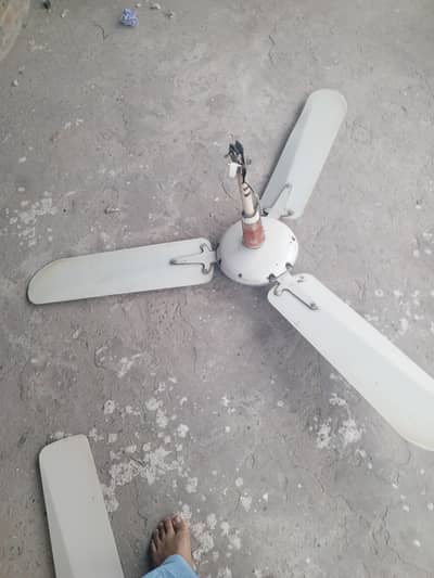 Ac Ceiling Fan