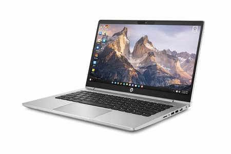 HP ProBook 445 G10 –Ryzen 5, 32GB RAM, SSD, 14.1" FHD With 45W Charger