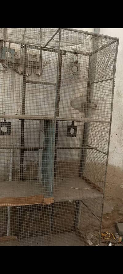birds and murgho ka cage 4 portion Wala