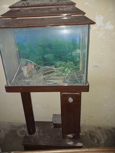 Fish Aquarium