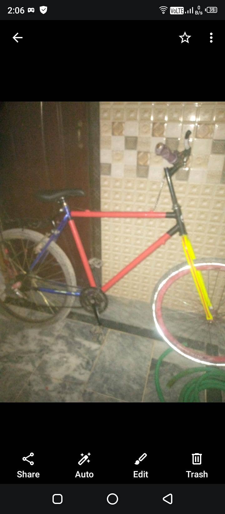 phonix cycle 1