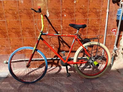 Phoniex cycle full size