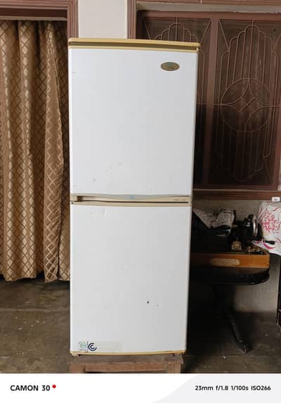 Freshtech refrigator fridge