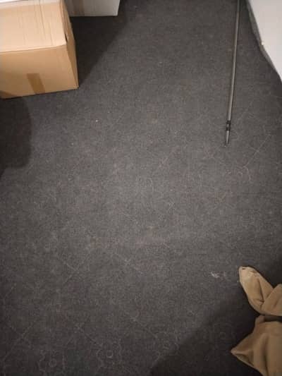 Carpet Measuring 12x14 size