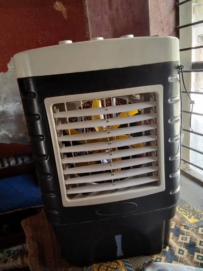 12v mini cooler