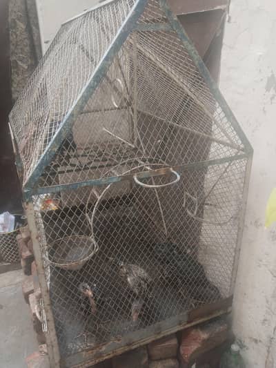 cage for urgent sale