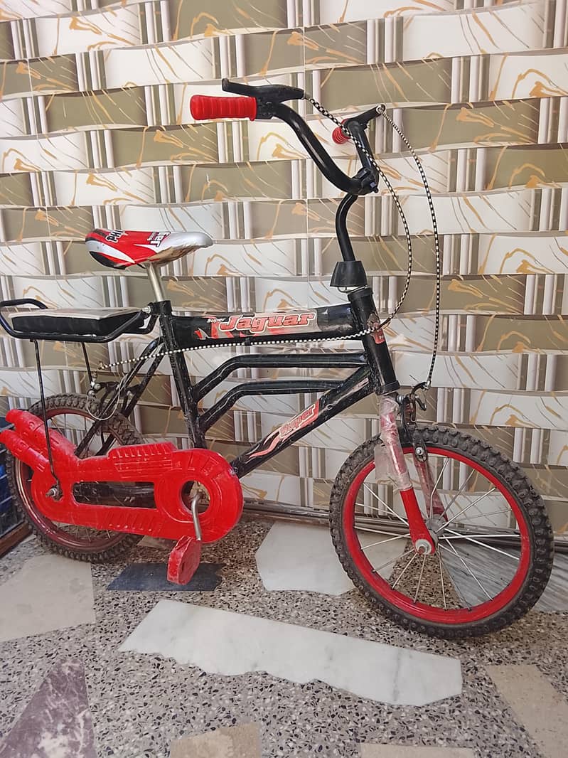bicycle 2