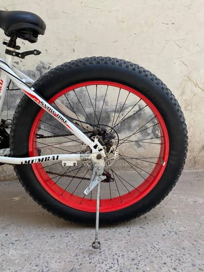 Fat tyre bicycle for sale