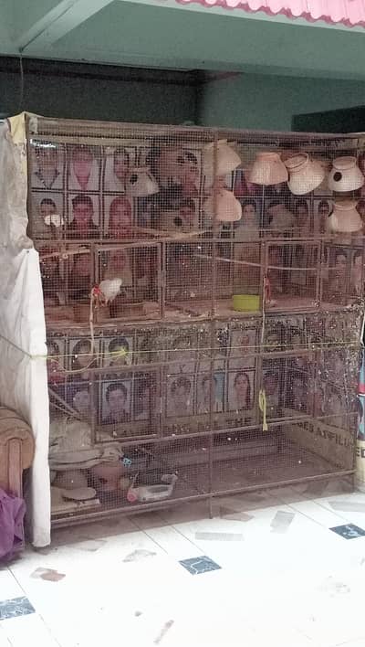 cage for sale