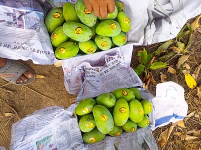 Waqar Traders