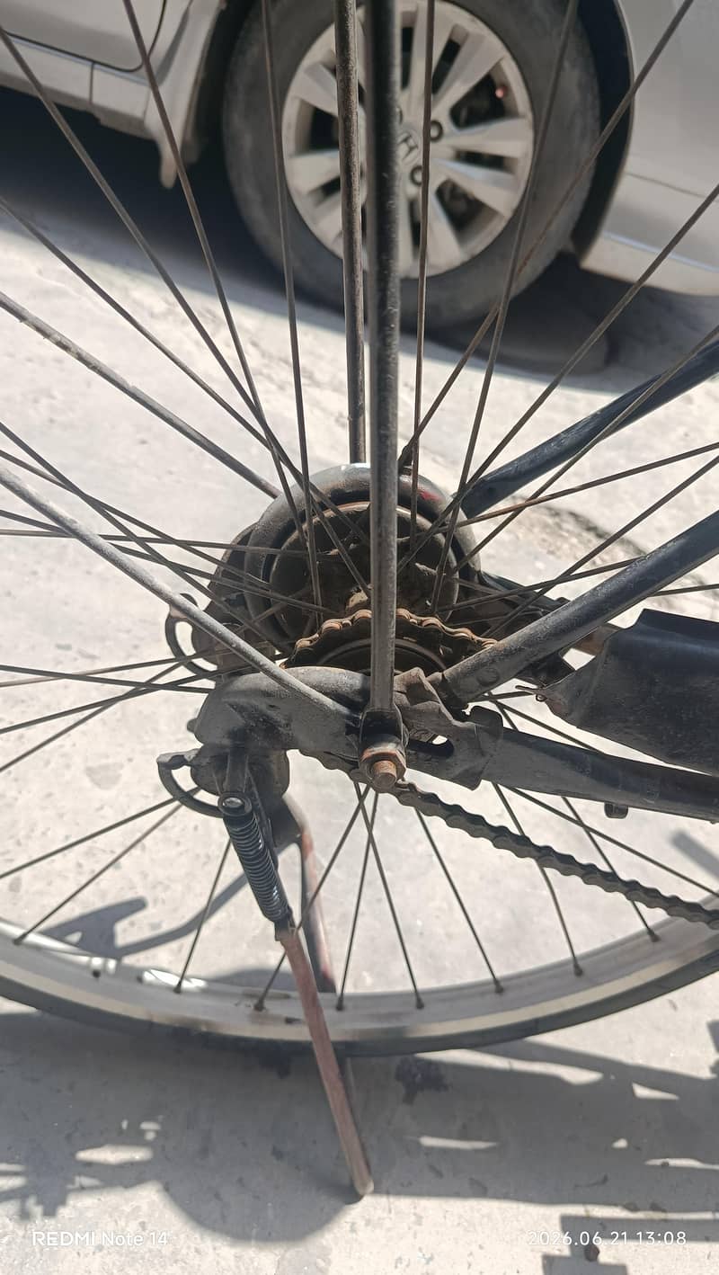 Sohrab Cycle 6