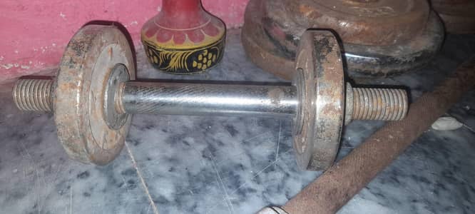 Gym weight plates