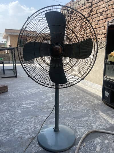 Idas fan