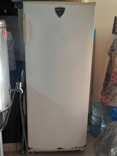 standing Freezer