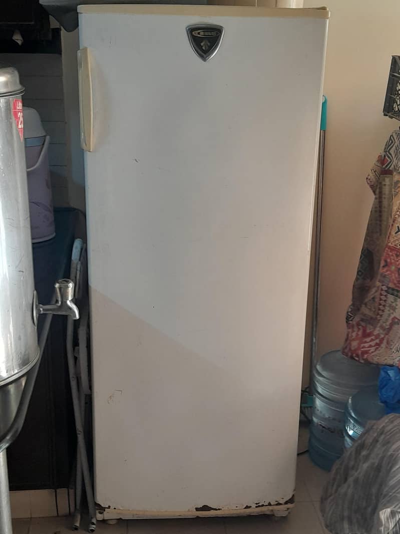 standing Freezer 0