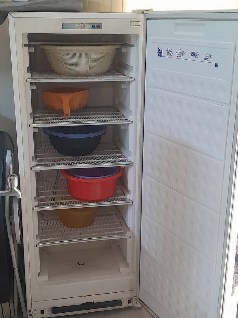 standing Freezer 1