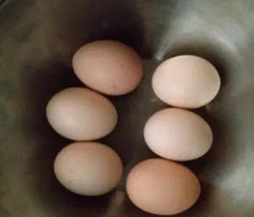 golden buff hens egg 03311079150