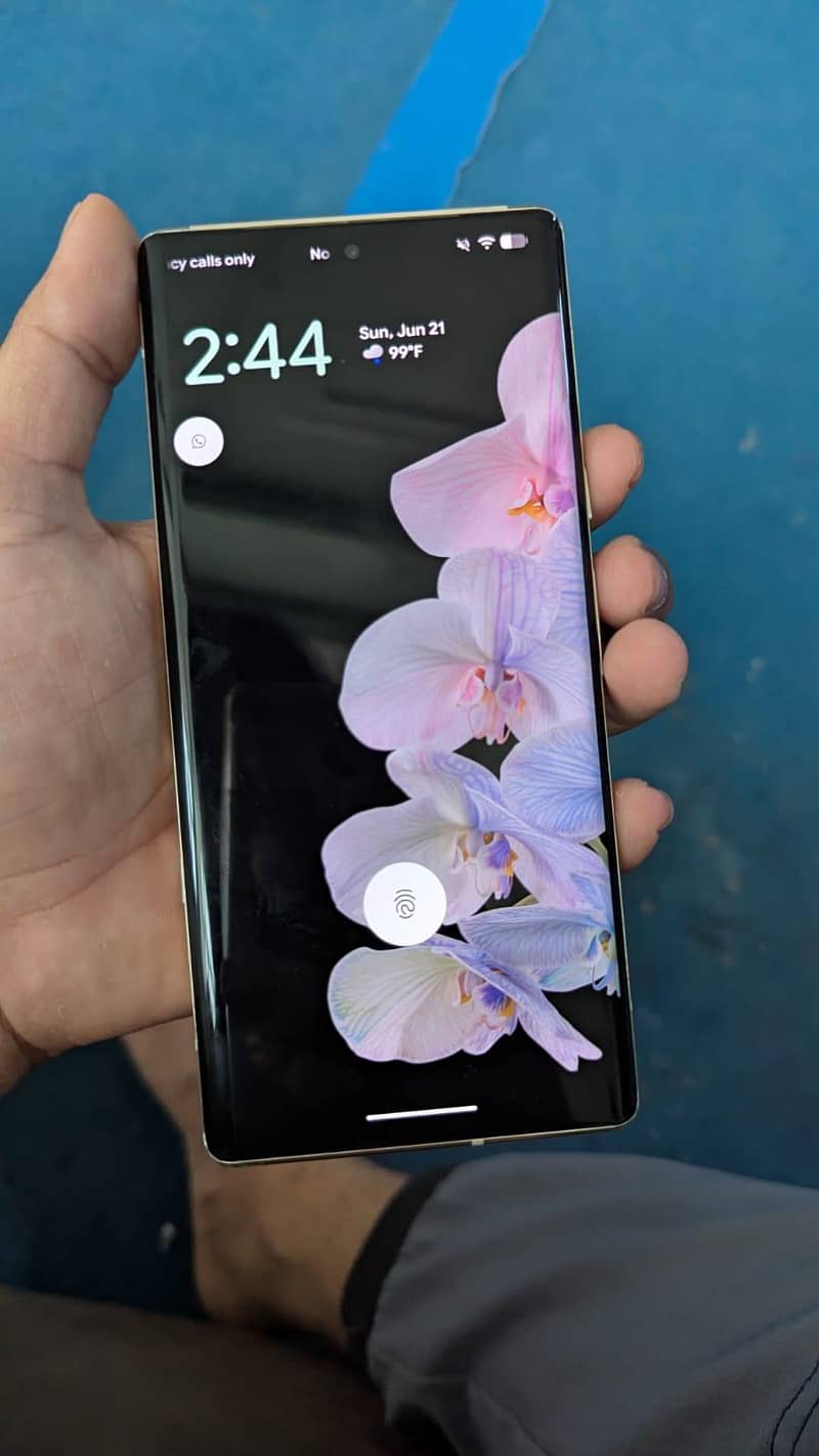 Google Pixel 6 Pro 1
