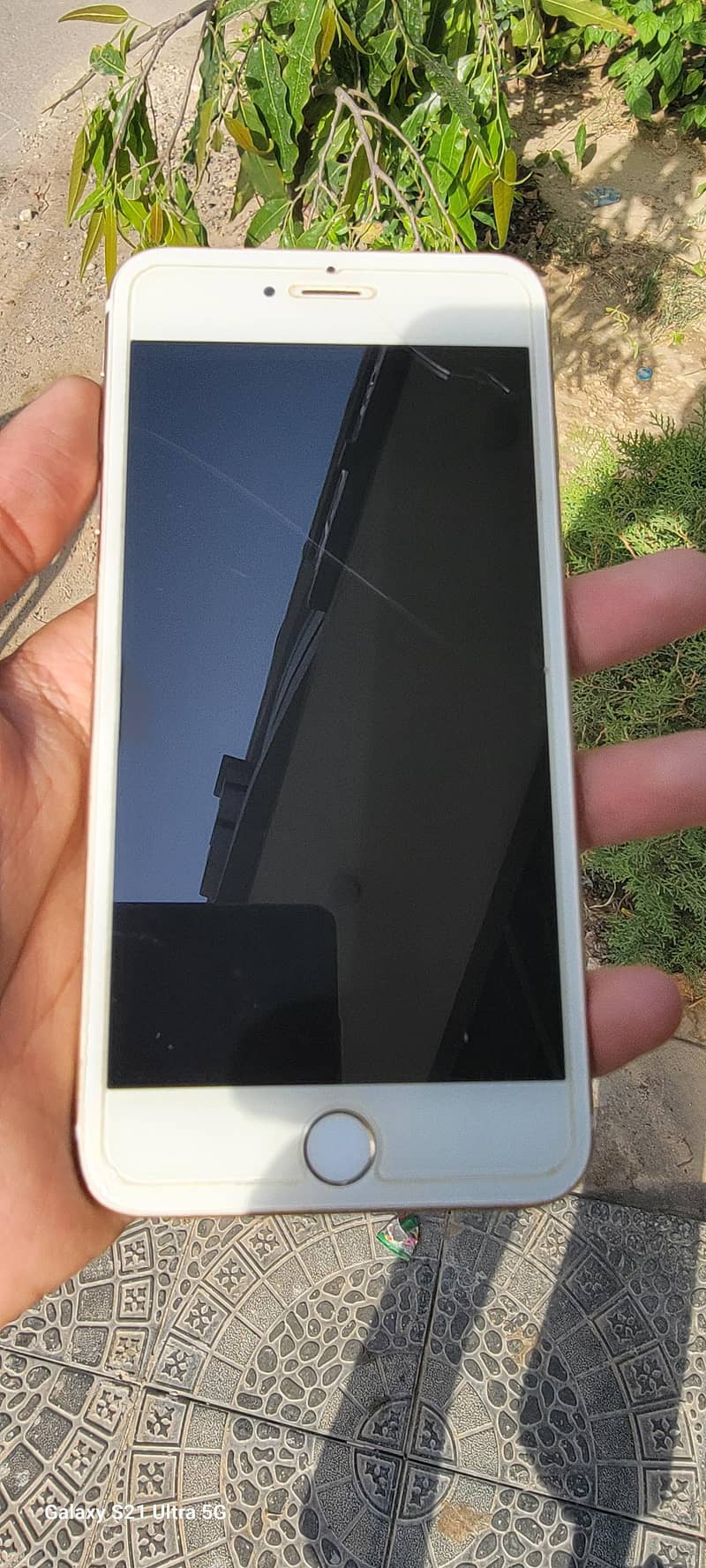 Apple iPhone 6S Plus 1