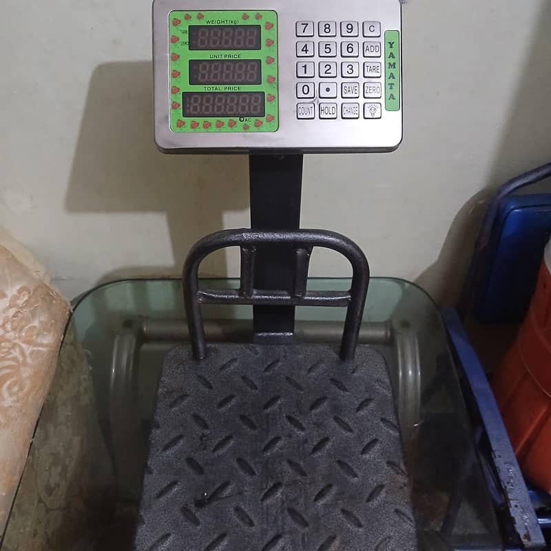 scale 1