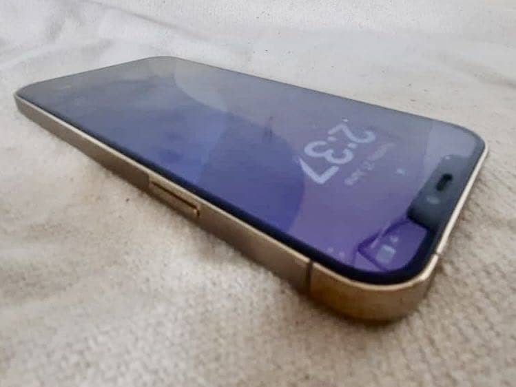 iPhone 12 Pro Max 1