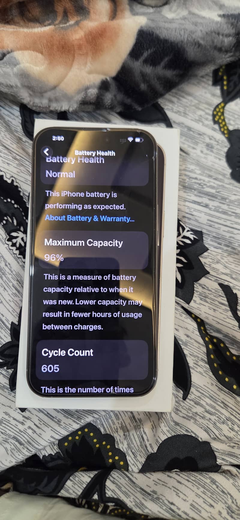 Apple iPhone 16 Pro Max 1