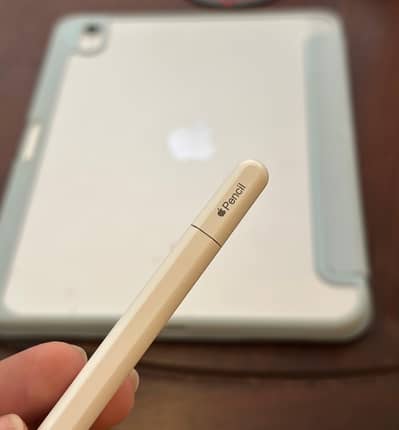 Apple Pencil Type C