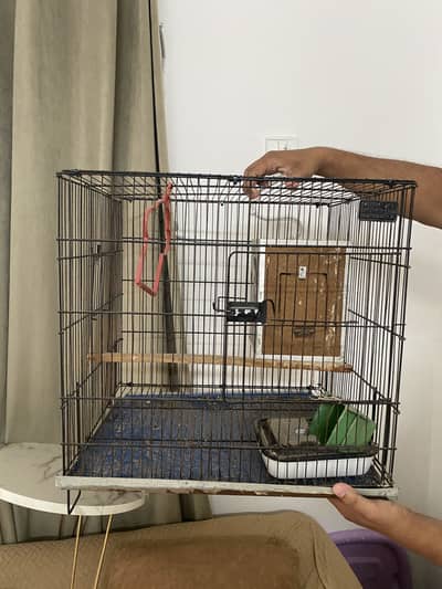 Bird Cage