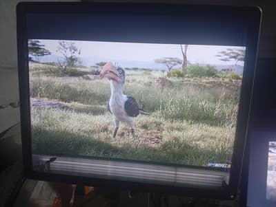 spot lines wali LED 19inch monitor square screen