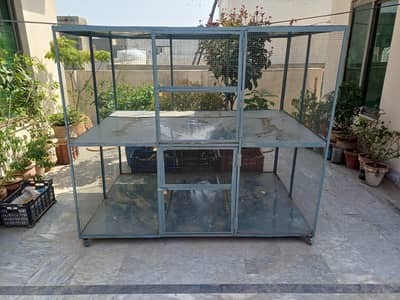 hen and birds cage