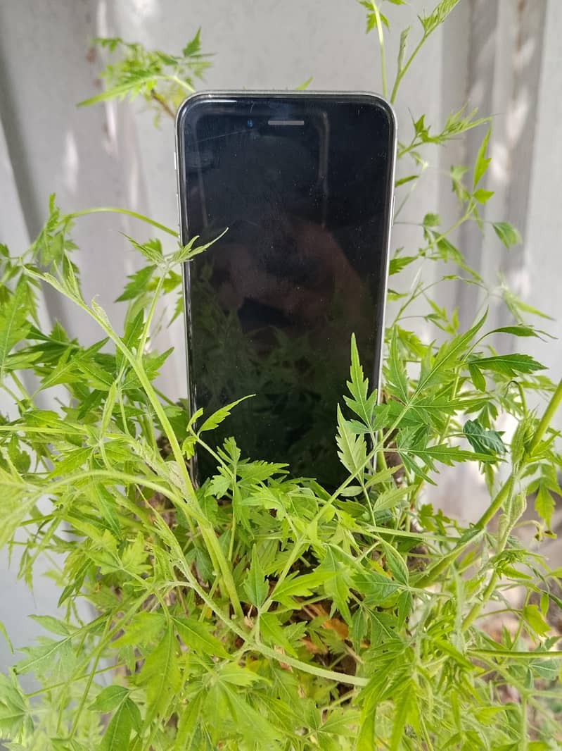 Apple iPhone 6 5
