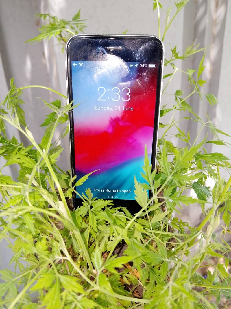Apple iPhone 6 6
