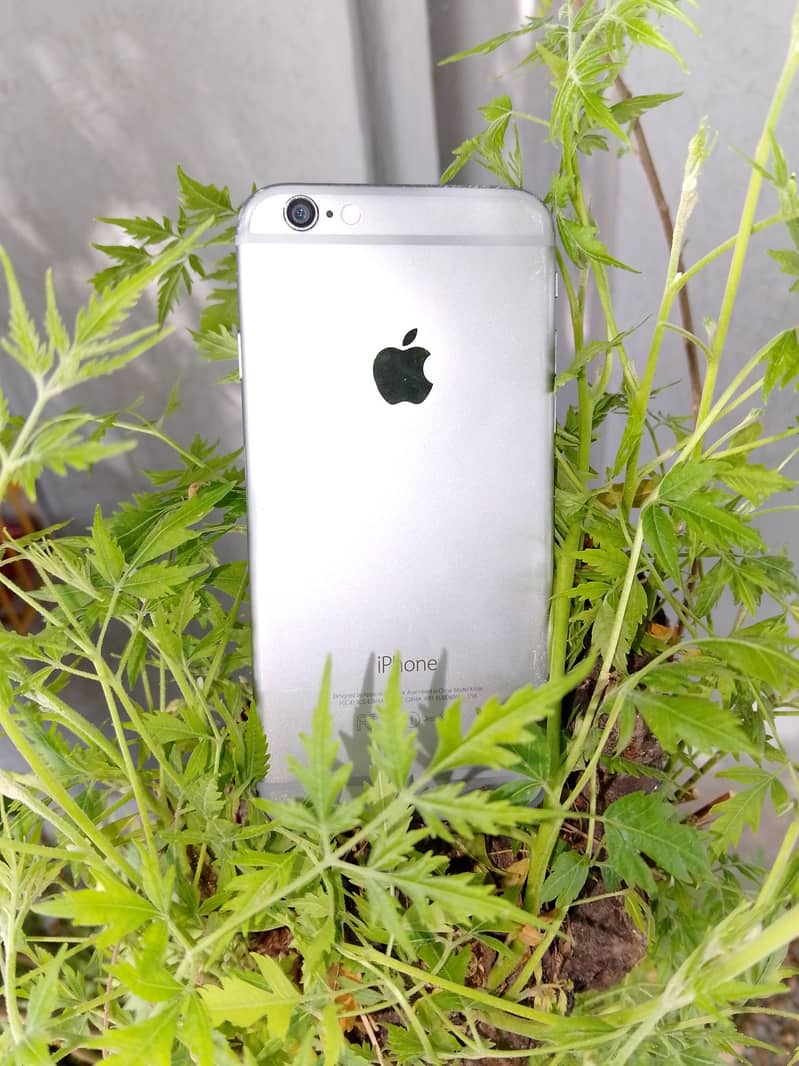 Apple iPhone 6 8
