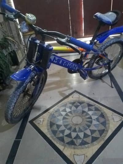 Used Morgan Bicycle – Smooth & Comfortable Ride
