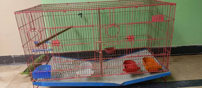 Cages for parrots, doves,