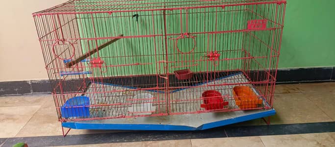 Parrot Cage