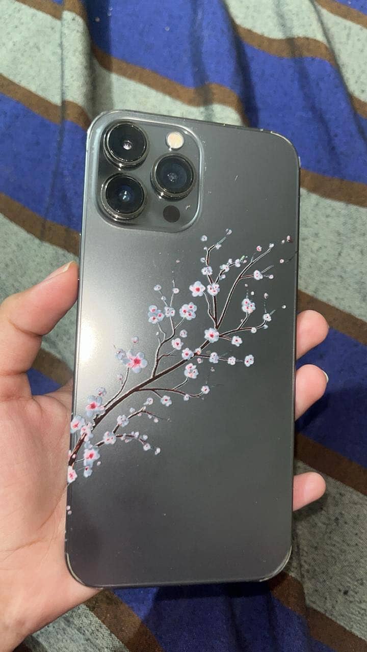 13 pro max 2