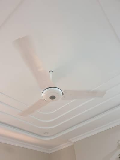 Fans for sale