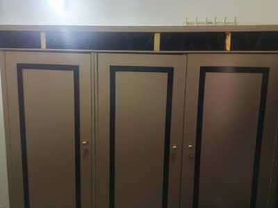 D-Co Paint Almaari 3 Door 7/10