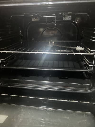 Electric and gas oven