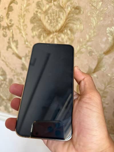 Apple iPhone 13 Pro pta approved dual sim