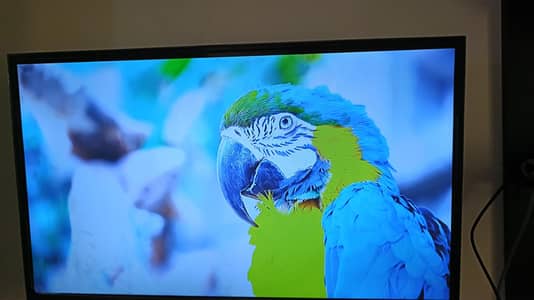 32 Inch LED
