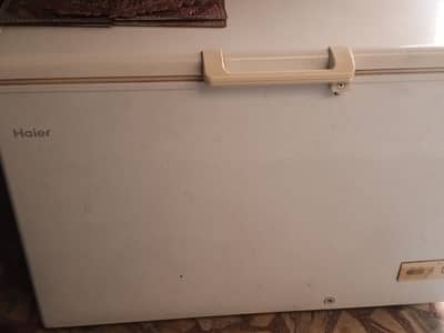 Haier frezer