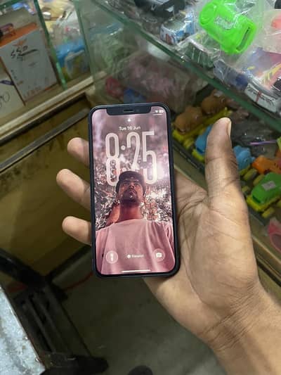 Apple iPhone 12 mini